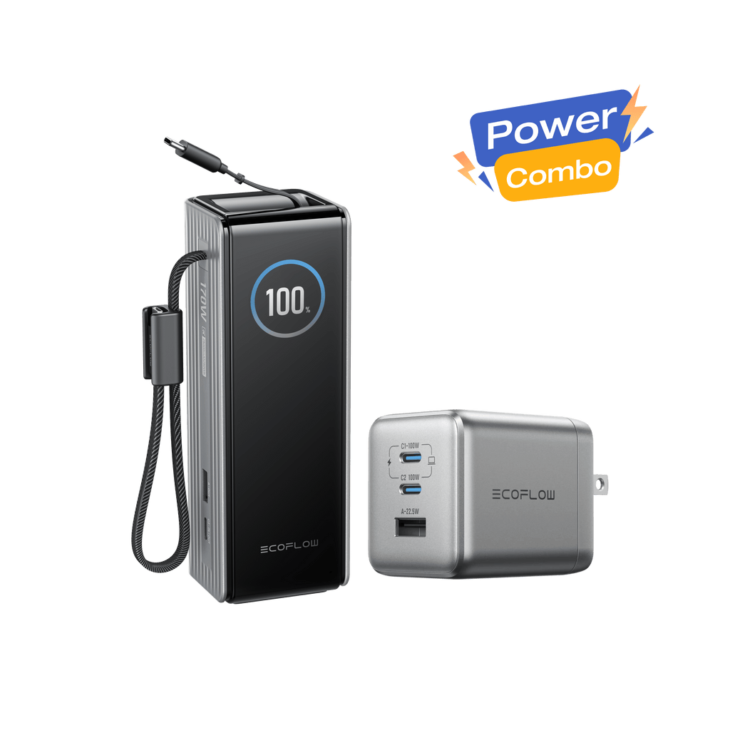 EcoFlow RAPID Power Bank (25K, 170W, 100W Built-In and Retractable Cables) + 100W Charger